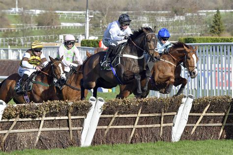 champion hurdle betting odds|Champion Hurdle Betting Odds 2025 .
